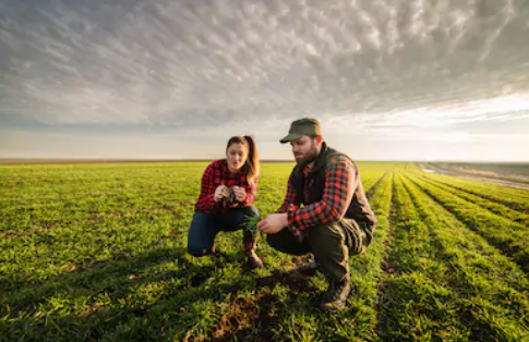 producteurs du Périgord Les producteurs du Périgord